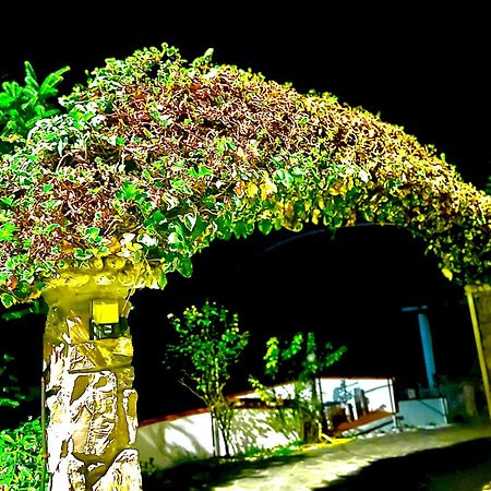 Casa Vacanza Paola Aurigo Kültér fotó